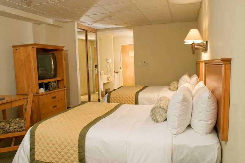 Antaris Galerias Hotel Monterrey Ruang foto